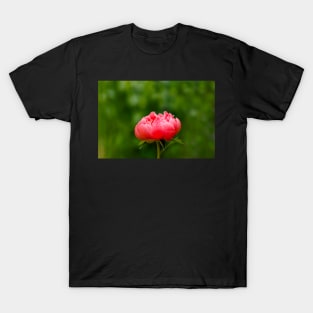 Peach peony flower T-Shirt